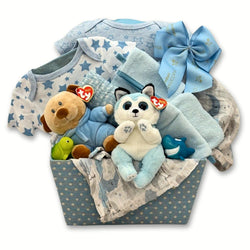 Double the Fun Twin Boys Gift Basket